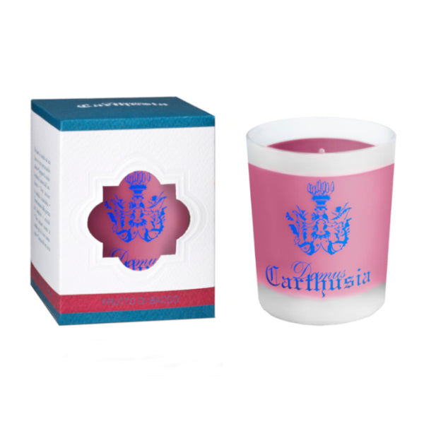 Frutto di Bacco Candle_Carthusia